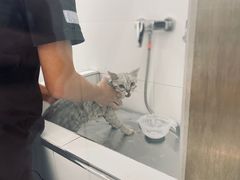 -comecome来吧宠物(奥克斯中心店)