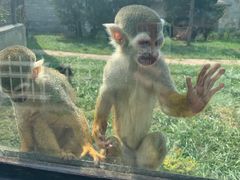 -石家庄市动物园