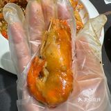 天宝兄弟罗氏虾我来了！！！