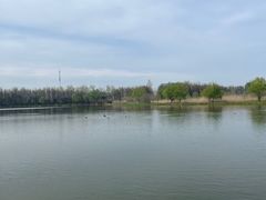 -溱湖国家湿地公园