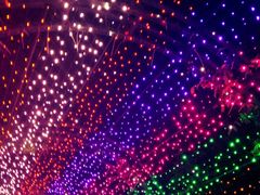 -杭州湾海上花田景区