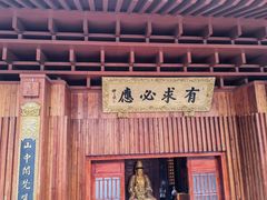 -深圳仙湖植物园