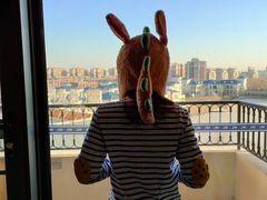 -龙熙维景国际会议中心