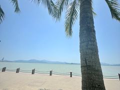 -深圳湾公园(南山区)