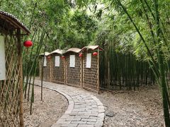 -同里国家湿地公园