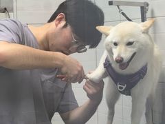 -达爱动物医院·犬猫分区·CT·复杂眼科(远洋山水分院)