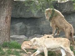 -北京野生动物园