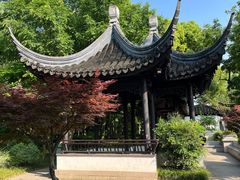 -枫桥景区
