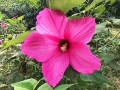 -中家鑫园温泉酒店鑫悦汤泉