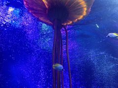 -沈阳海洋探索中心