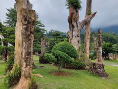 -深圳仙湖植物园
