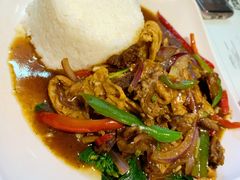 黑椒腐竹牛腩饭-大四喜茶餐厅(井岸店)