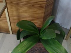 -锦江之星(淮安万达广场健康东路店)