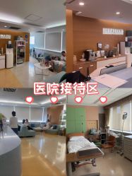 -杭州贝瑞斯美华妇儿医院·早孕·产检·儿科