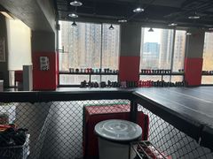 -极斗-IKMF马伽术·格斗运动学院(东直门店)