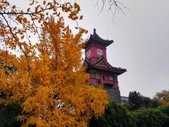 -四川大学(华西校区)