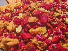 -向川南·水煮鱼·川菜(和平里店)