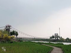 -西青郊野公园