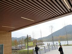 -千年银杏谷文化旅游区