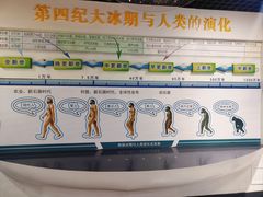 -中国第四纪冰川遗迹陈列馆