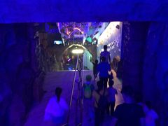 -芜湖新华联大白鲸海洋公园