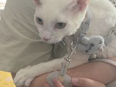 -佑安动物医院·全科·内窥镜中心(幸福巷店)