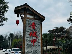 -青城甲(青城山店)