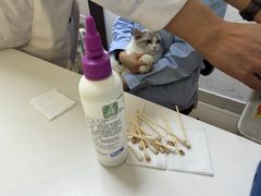 -全心全意连锁动物医院·特色中医诊疗(会城门分院)