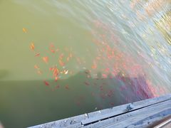 -迎泽公园