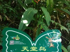-呀诺达热带雨林