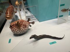 -天津自然博物馆