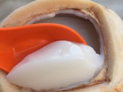 椰子布丁-新峰肉骨茶