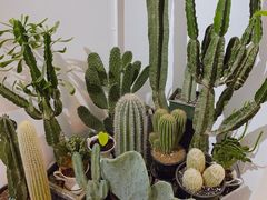 -收获咖啡HARVEST RESERVE(苍山店)