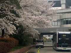 -上海黄浦旅游集散站售票处