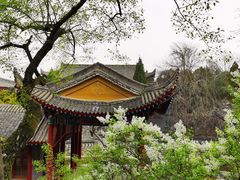 -华清宫景区