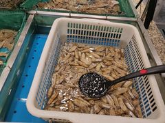 -初色海鲜自助(万丰路店)