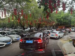 -广州长隆飞鸟乐园