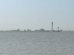-上海滨江森林公园