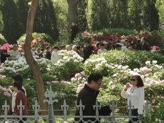 -山东大学学府大酒店(千佛山地铁站店)