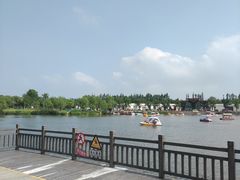 -上海长兴岛郊野公园