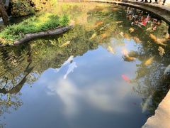 -莫里热带雨林景区