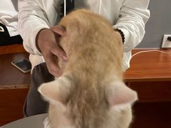 -松果猫咖(桐乡吾悦金街店)