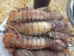 -春华海鲜城(广场西苑店)