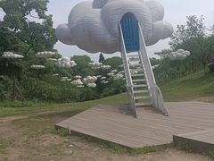 -南山植物园