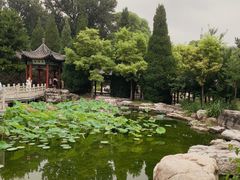 -晋祠公园