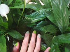 -海底捞火锅(大融城店)