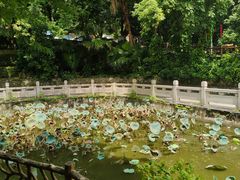 -潮州西湖