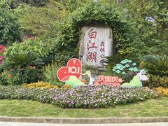 -广州白江湖森林公园