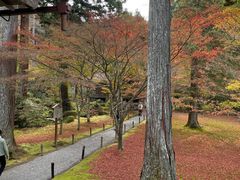 -三千院
