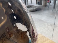 -艾贝尔宠物医院 ·中兽医·宠保定点(北门桥店)